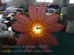Надувной цветок лотоса