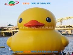 Exciting Custom Cute Inflatable Duck Cartoon For Pool Floating