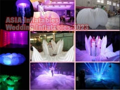 Wedding Party Inflatables