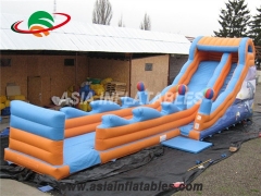 Inflatable Dolphin Dry Slide