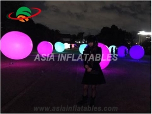 Inflatable Advertising Balloons for garden